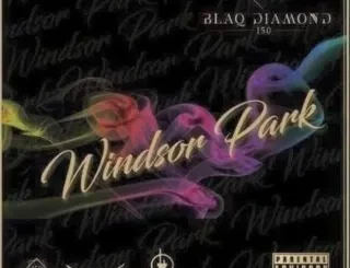 Blaq diamond – Jungle