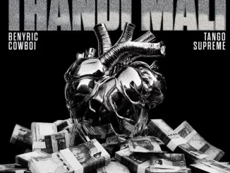 Cyfred – Thandi Mali ft Sayfar, Scotts Maphuma, BenyRic, CowBoii & Tango Supreme