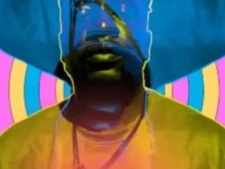Dr Feel – Amanxeba ft Toshi