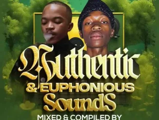 Lowbass Djy – Authentic & Euphonious Sounds ft MCannal