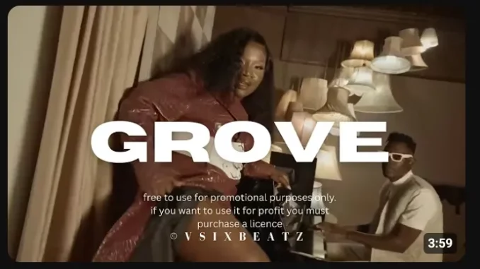 Makhadzi – Grove ft Mr Bow,Shandesh & Janesh