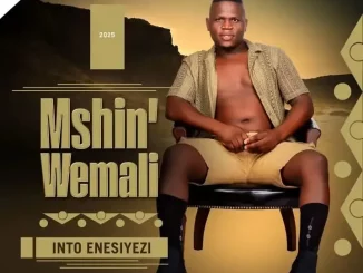 Mshinwemali – Inkani Yami Ft. Senzo Ntuli