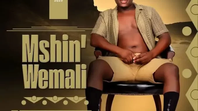 Mshinwemali-–-Into-Enesiyezi-mp3 Mshinwemali – Nami Angizenzi Ft. Senzo Ntuli