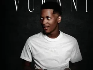 Muziqal Tone – Let’s Go ft LoLoSa, Macassete, ShakaMan YKTV, Kom Da Perc & Vyno Keys