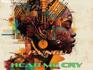 PA NGU – Hear Me Cry