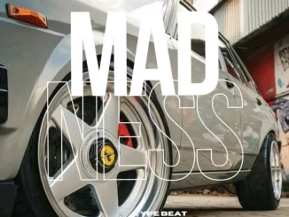Vigro Deep – MADNESS ft Mr JazziQ, Scott Maphuma, Dj Maphorisa & XDuppy