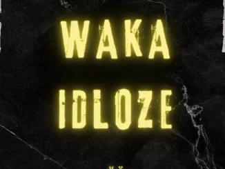 Waka idloze – I the No Style ft Chiwe