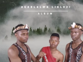 INDLONDLO ZAMANZI – Ngahlalwa Lidlozi