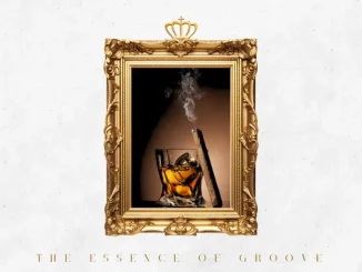 Inspector Deep – The Essence of Groove