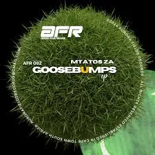 Mtatos ZA – Goosebumps
