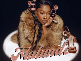 Nandi Ndathane – Malunde ft DJ Stokie, DJ Nnandos & Neo Soul