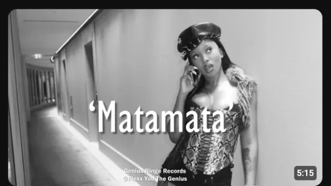 Tyler ICU – Matamata ft Kelvin Momo & Kabza De Small