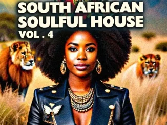 VA – South African Soulful House, Vol. 4