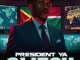 Vibekulture Sa – SA President Ya Glitch