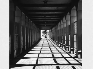 ZIDDO – Black & White