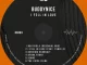 Buddynice – Ufuna Ntoni