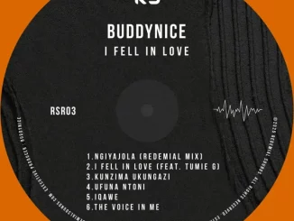 Buddynice – The Voice In Me