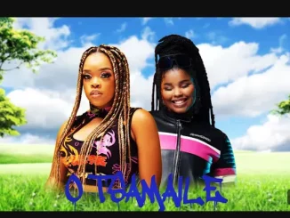 DJ KSB & Harrycane – O Tsamaile ft Nkosazana Daughter & Boohle