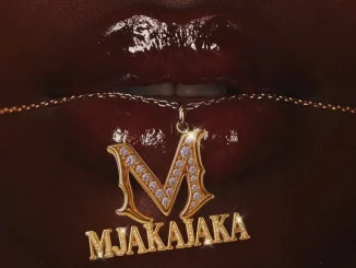 Fake’well – Mjakajaka ft Mellow, Sleazy, Marsey & Mpho Spizzy