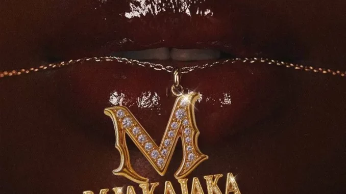 Fakewell-–-Mjakajaka-ft-Mellow-S Fake’well – Mjakajaka ft Mellow, Sleazy, Marsey & Mpho Spizzy