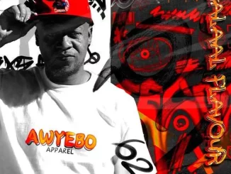 Fiso El Musica – Halaal Flavour #062 Mix