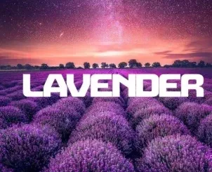 InQfive – Lavender