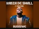 Kabza De Small – Busisiwe ft Young Stunna[