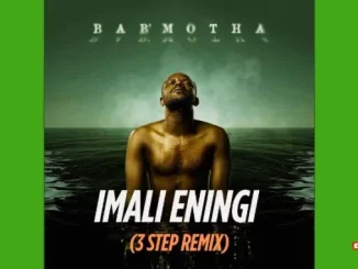 Kabza De Small – Imali Eningi [3 Step] (Remix) ft Njelic, GL Ceejay, Mthunzi, Mkeyz & Simmy