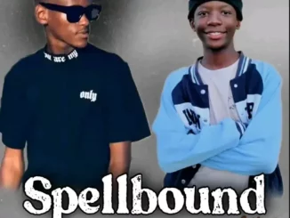 Mura Cpt – Makubenjalo ft Msaifo SA, Lee QTN & Dj Physical
