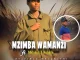 Mzimba Wamanzi – Uyafihla Mhlabathi ft Noluhle & Mkhululi