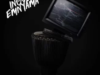 Nandipha808 – Sphinde Shlangane ft Morena Deh Keys, Matasatasa & Mpho Spizzy
