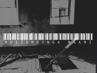 OPHOLA NTSHUNTSHA – Ndizombonga Ngani