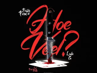 Priddy Prince – Hoeveel ft Luda G